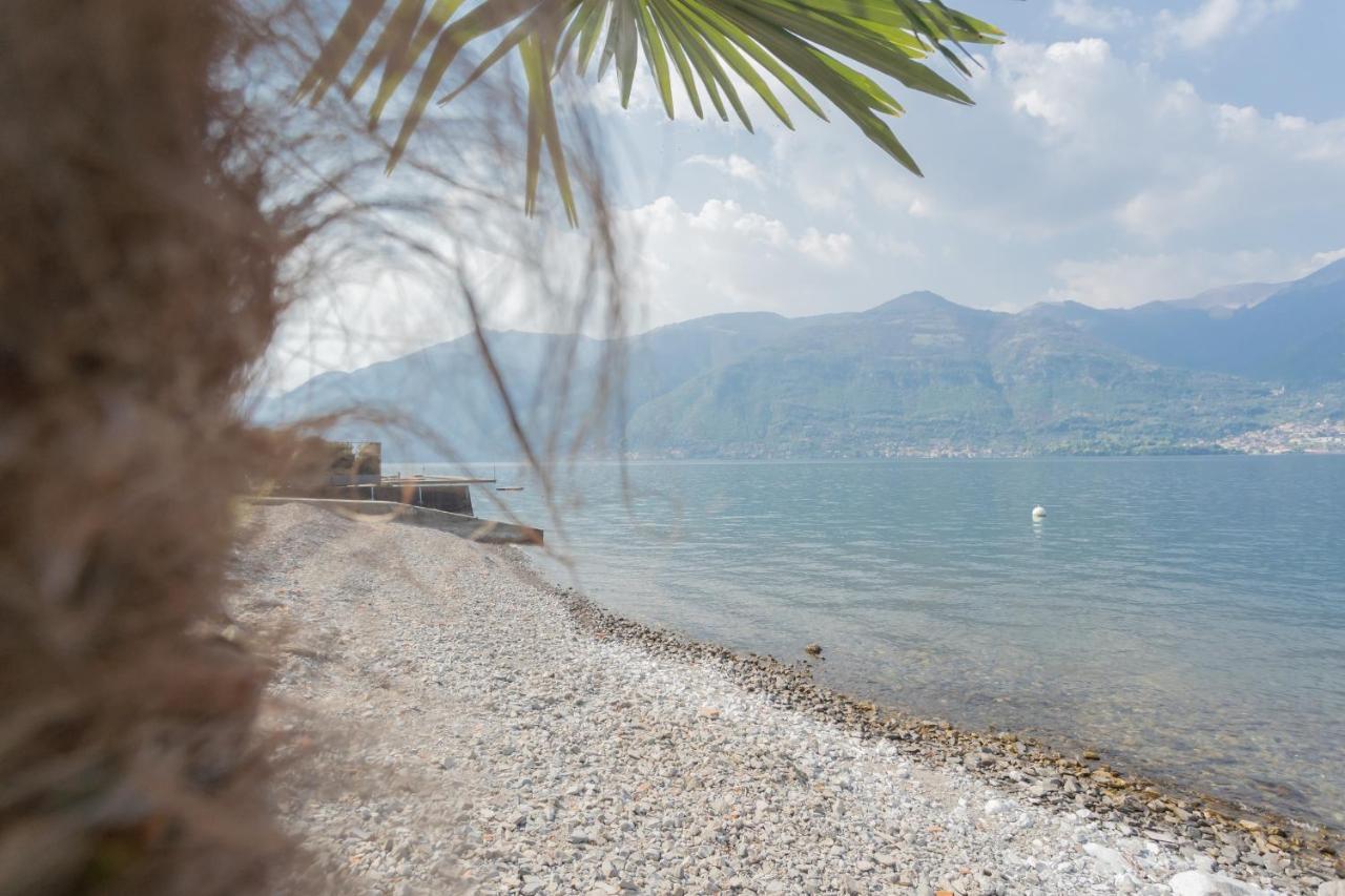 Dream Lake Apartments Lake View - Private Beach By Rent All Como Lezzeno Esterno foto